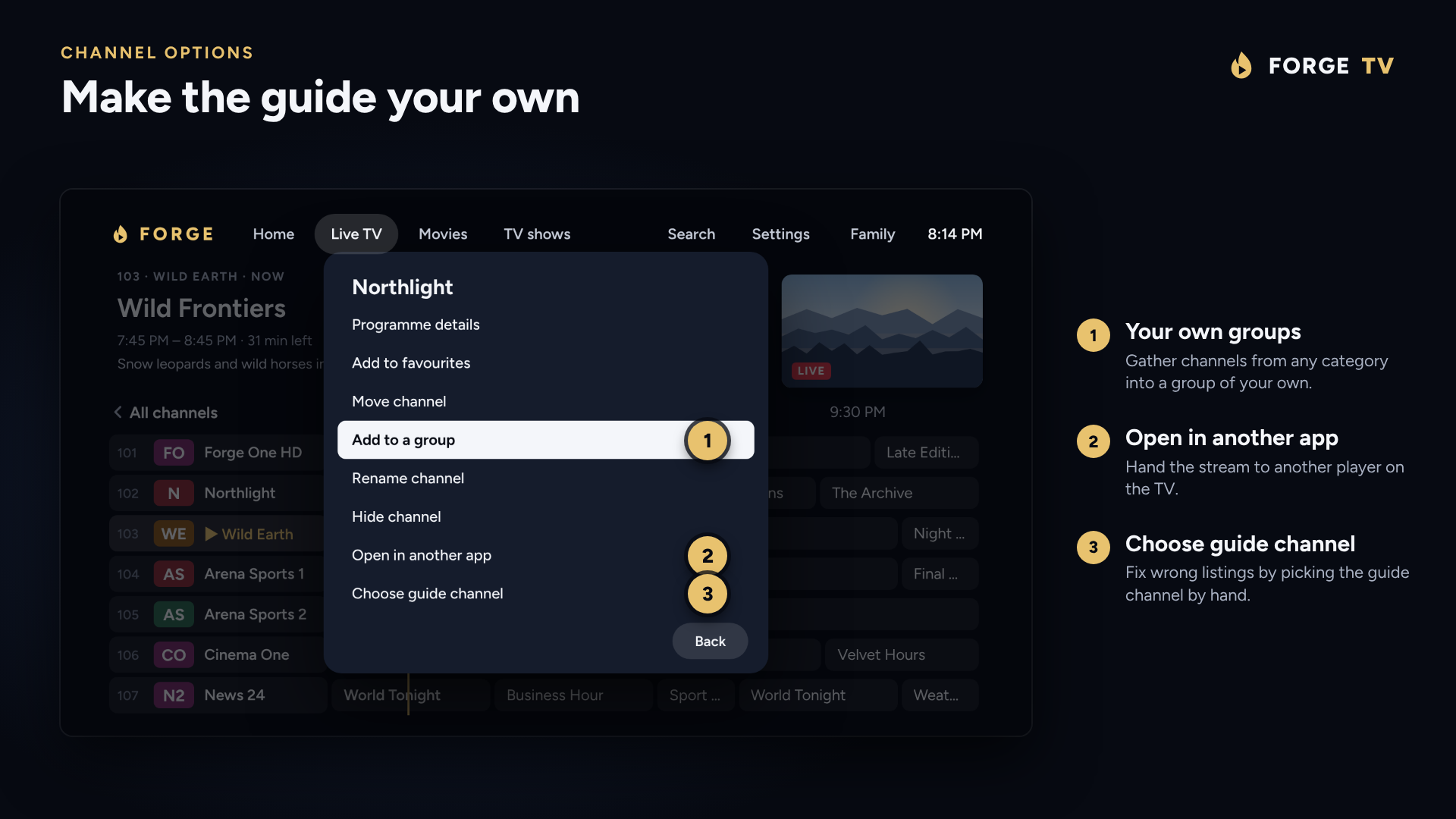 A channel's options: add to a group, open in another app, choose guide channel